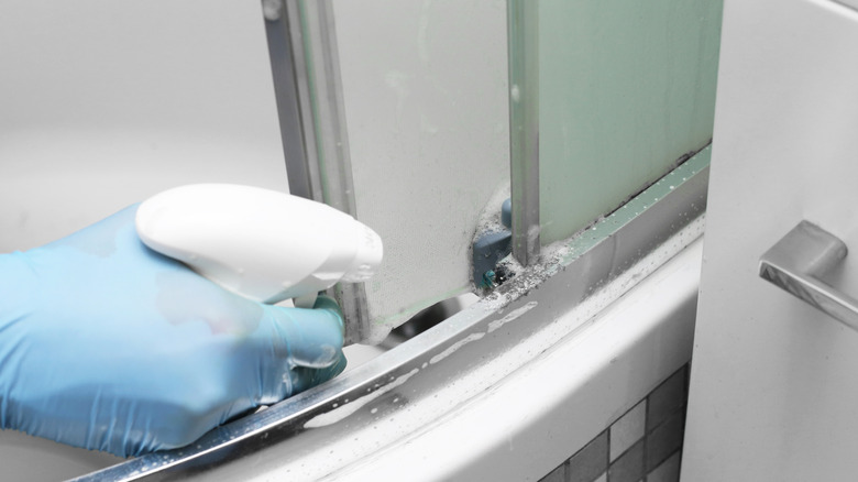 küflü duş çerçevesine temizleme solüsyonu sıkan kişi