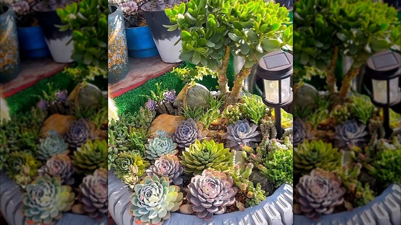 Lastikten büyüyen sulu meyveler