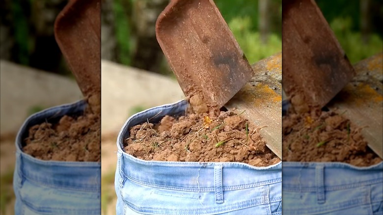 Bir çift pantolonu toprakla doldurmak.