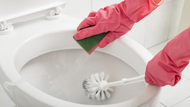 Eldiven takan kişi klozeti temizliyor.