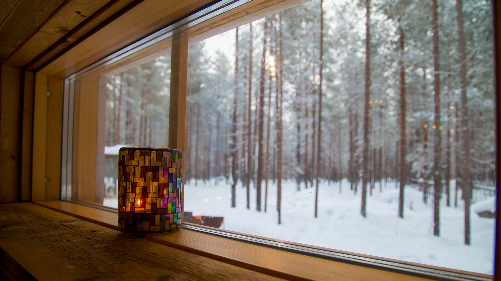 Kar Pirelerinin Evinizi İstila Etmesinden Gerçekten Endişelenmeli misiniz?