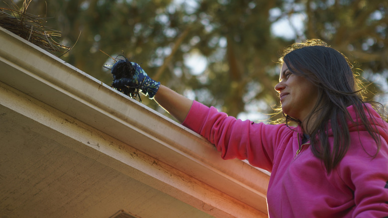 Bir kişi sivrisineklerin üreyebileceği durgun suyu azaltmak için çatı oluklarındaki yaprakları temizliyor