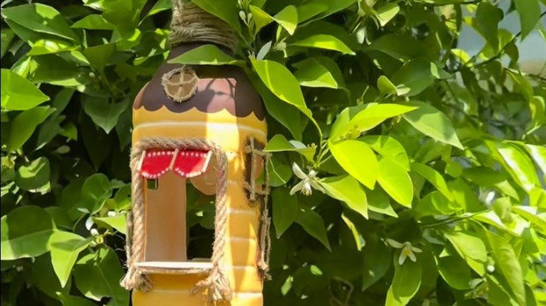 Halat kapı çerçeveli ev gibi boyanmış bir ağaca asılı plastik sürahi.