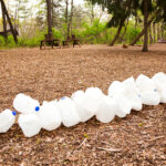 Artık Hurda Sürahisini Kuş Besleyicisine Dönüştürmenin 8 Yolu