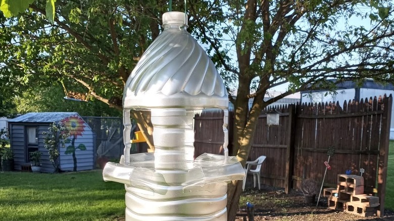 Bir ağacın yanından büyük bir plastik su sürahisi sarkıyor.