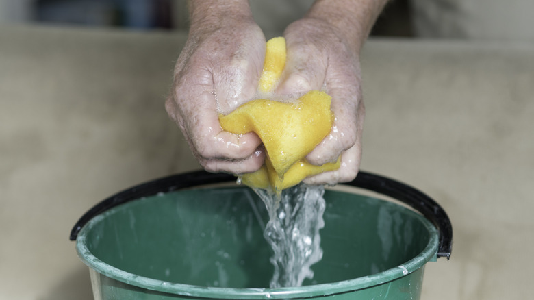 Bir kişi sarı süngerden suyu yeşil bir kovaya sıkıyor