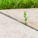 Az Bakım Gerektiren ve Otlara Dirençli Geçirgen Yol Malzemesi