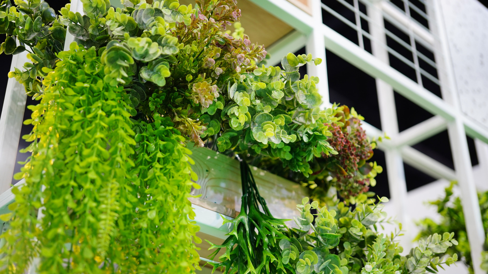 Sahte Bitkilerinizin İhtiyacı Olan Toz Tutmayan Hack