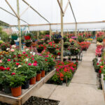 Zorluk Çeken Fidanlık Temizleme Tesisinize Yeni Bir Yaşam Soluğu Nasıl Verilir?