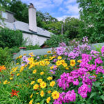 Evinizi Satma Şansınıza Zarar Verebilecek Çarpıcı Bahçe Özelliği