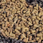 Eski Bir Mantarı Uygun Bütçeyle DIY Bahçe Malçına Dönüştürün