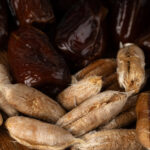 Bahçenizde Artık Bir Çukurdan Hurma Ağacı Nasıl Büyütülür?