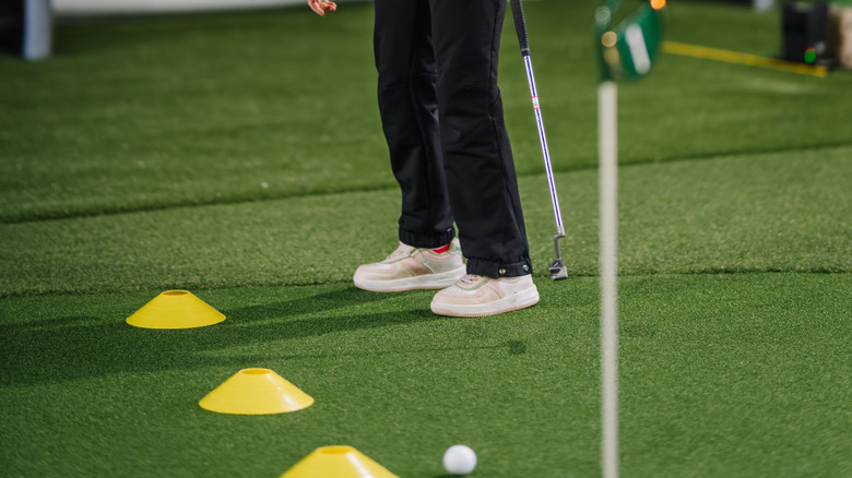 kapalı alan yeşili