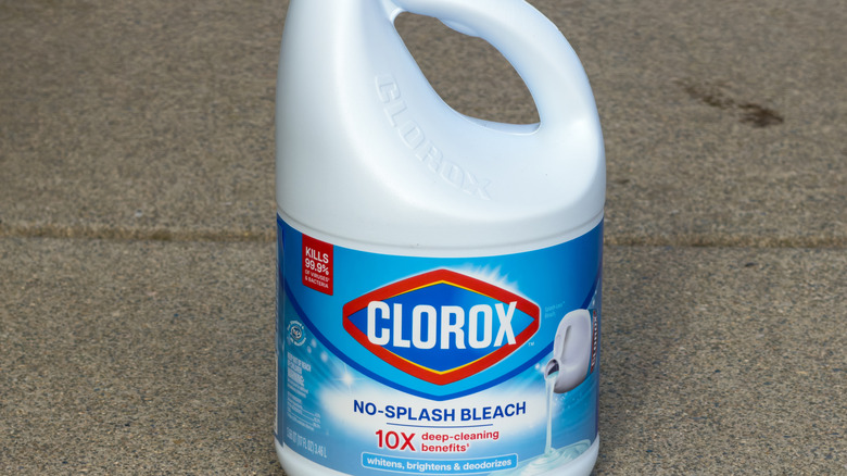 Bir şişe Clorox çamaşır suyu görünümü