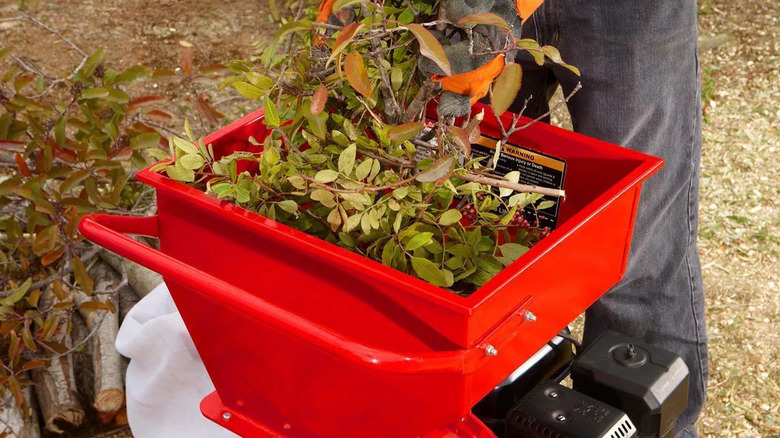 Harbour Freight'ten Predator 6,5 HP öğütücü/parçalayıcının üst haznesine atık besleyen bir bahçıvan