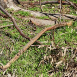 Tersane Temizliği İçin Üretilen Ağır Hizmet Liman Nakliye Aracı