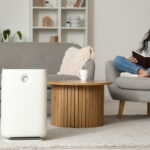 Hava Temizleme Cihazları Tek Başına Evinizi Tozdan Kurtaramaz. Bu İşleri Temizlik Rutininize Ekleyin