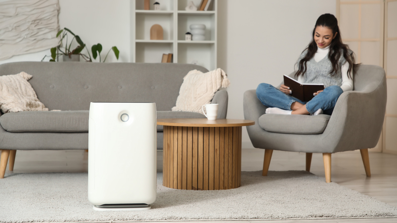 Hava Temizleme Cihazları Tek Başına Evinizi Tozdan Kurtaramaz. Bu İşleri Temizlik Rutininize Ekleyin