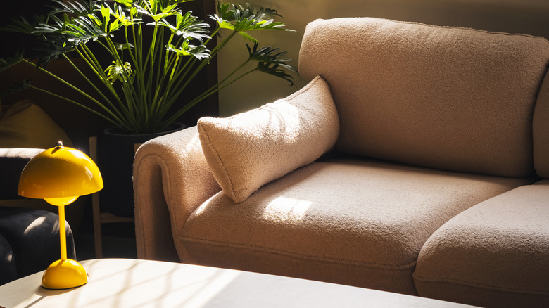 Bitki ve sehpanın yanında yumuşak buklet benzeri daha dokulu kanepe