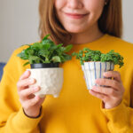 Büyüleyici Bir Bitki Standı Oluşturan Vintage Kağıt Havluluk (Eğer Bulabilirseniz)