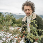 Kışın Kesimlerden Başlayabileceğiniz 10 Meyve Çalısı