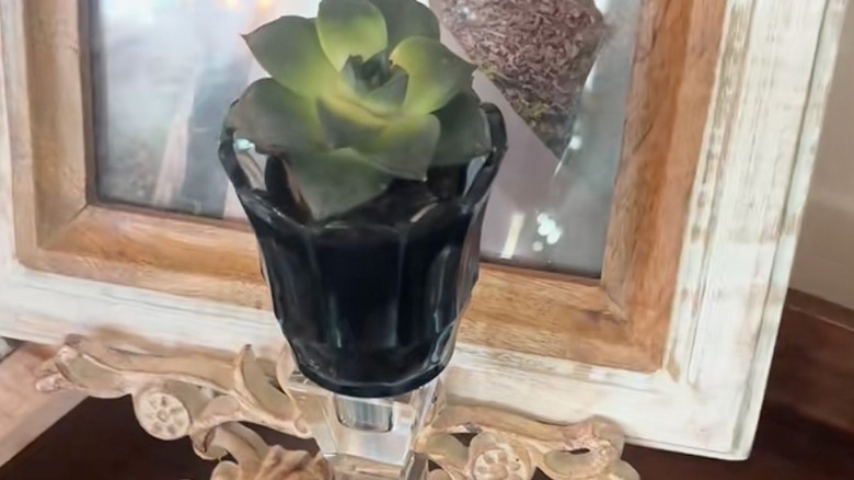 Lale adak mumluğuna etli bir mumun yakın çekimi