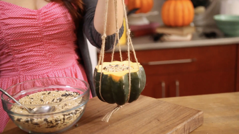 Bir ipe asılı yarım kabak, içi kuş yemi ile dolu.