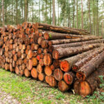 Harbour Freight, Ev Deposunda Bulamayacağınız Ağır Hizmet Aracı Satıyor