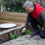 Bahçenizde İstilacı Bir Bitki Olabileceğinin Göstergesi