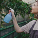 Uygun Fiyatlı Haşere Kontrolünün Gizli Çözümü Bulaşık Sabunu mu? İşte Gerçek