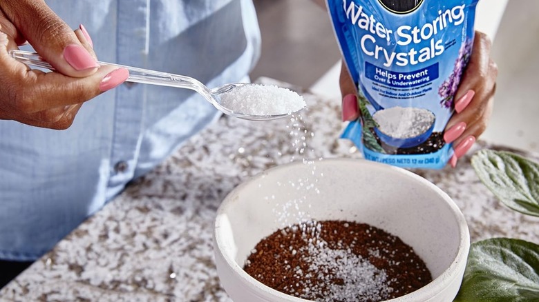 Toprak katkı maddesini topraklı tencereye serpen kişi