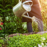 Bitkilerinizi Her Zaman Sulu Tutacak 8 Kendiliğinden Sulama Aracı