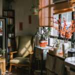 Karanlık Odalarda Büyüyebilecek Bir İç Mekan Bitkisi İstiyorsanız Bu Orkide Çeşitlerini Düşünün