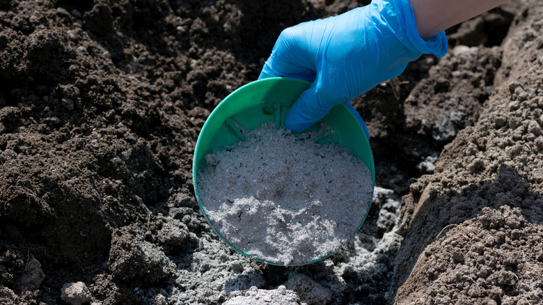 Eldiven giyen ve dönüştürülmüş toprağa odun külü ekleyen kişi