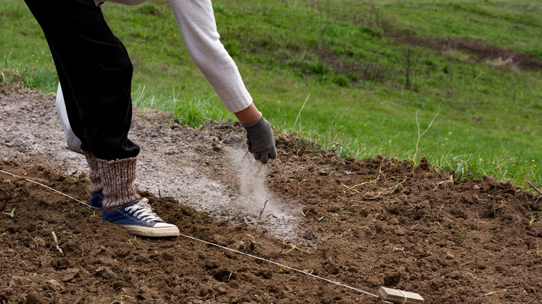 Bahçedeki çıplak alana kül saçan kişi