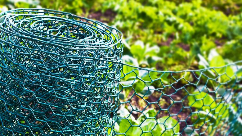 Bahçe çiti için tavuk teli