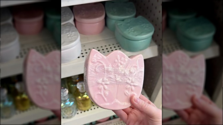 Dolar Ağacı çiçek biblo kutusunu tutan kişinin yakın çekimi