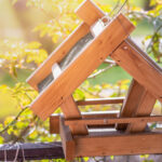 Yeni Kuş Besleyici mi? Yiyecekleri Sadece İçine Koymayın, Etrafına Yayın!