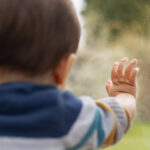 Bir Dolar Ağacı Oyuncağını Windows'ta Parmak İzlerini Gizlemenin Yaratıcı Bir Yoluna Dönüştürün