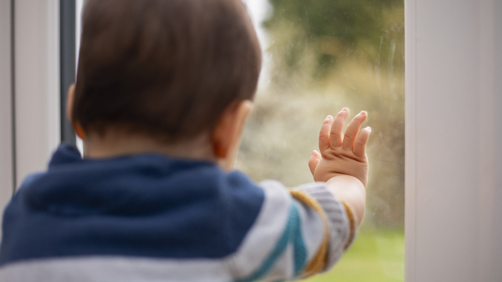 Bir Dolar Ağacı Oyuncağını Windows'ta Parmak İzlerini Gizlemenin Yaratıcı Bir Yoluna Dönüştürün