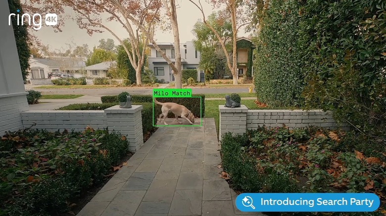 Ring'in 2026 Super Bowl Reklamından ekran görüntüsü