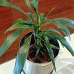 Bir Dökme Demir Fabrikasının Gelişmesine Yardımcı Olan Gözden Kaçan Bakım İpucu