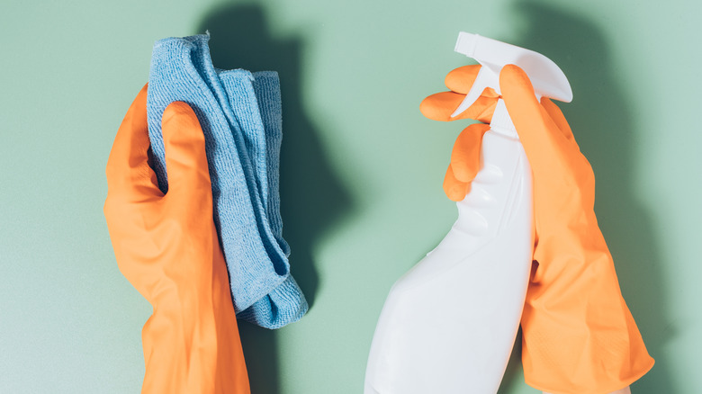 Bir bez ve sprey şişesi tutan kişinin yakın çekimi