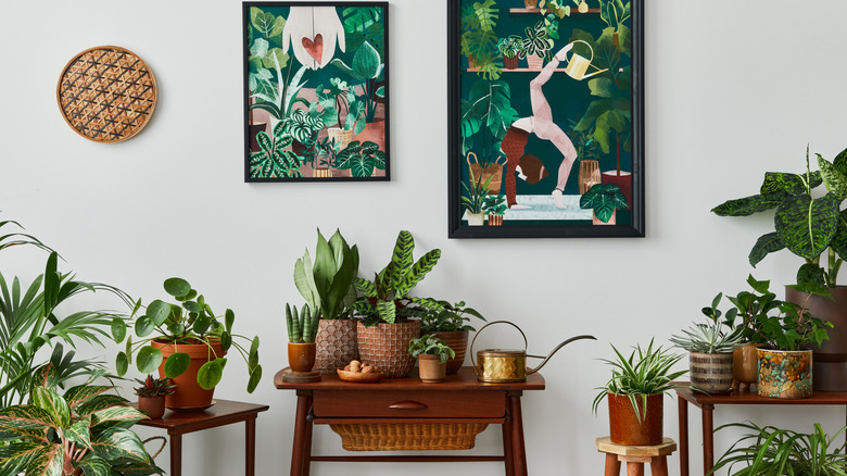 Bol miktarda yeşillik ve yeşillik temalı resimlerin bulunduğu, ahşap ve doğal dekorla dolu bir odanın bir kısmı