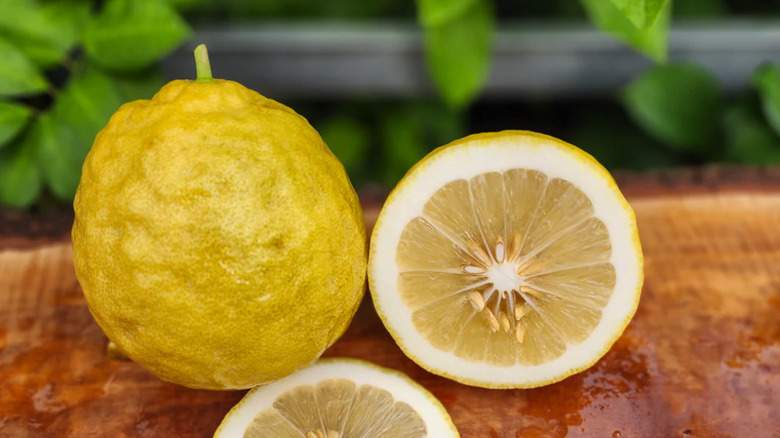 Yeşil yaprakların önünde ahşap bir yüzeyde bir Ponderosa limonu ve ikiye kesilmiş Ponderosa limonu