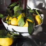 Vintage Meyve Kasesini Sevimli Bir Kuş Banyosu Saksısına Dönüştürün