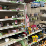 Bu Kendin Yap Fikriyle Dolar Ağacı Sabunu Tutucusuna Üst Düzey Bir Yükseltme Verin