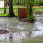 Islak Bahçe Toprağınızı İşleyebilecek 15 Çalı