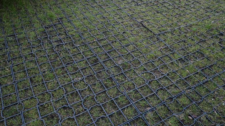 Düzensiz bir çimenliğin üzerine yerleştirilmiş plastik döşemeler