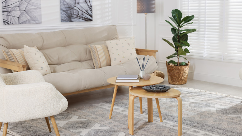 Yaşam alanında güzel bir şekilde düzenlenmiş mobilyalar